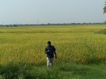 17343100_2029.JPG