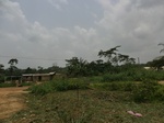 47981CIMG4318.JPG