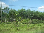 33668IMG_5869.JPG
