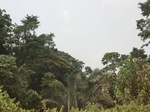 49115CIMG5452.JPG