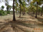52187Tank ID 1800143 Karikyatanhalli  3.JPG