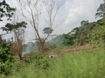 49555CIMG5892.JPG