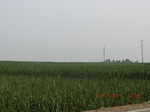 32853CIMG1985.JPG