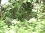 47941CIMG4278.JPG