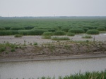 54355DSCN1629.JPG