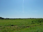 21650P1010476.JPG