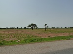 18958P1000802.JPG
