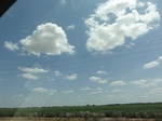 35103DSC02306.JPG