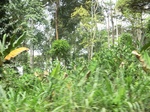 48692CIMG5029.JPG