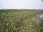 2571 147.jpg