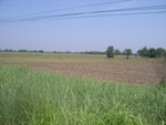 28258RIMG0258.JPG
