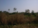 8994RIMG0070.JPG