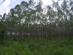 34550RIMG0015.JPG