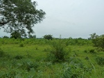 18441P1000277.JPG