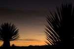 24478Colima 2008-2009 009.jpg
