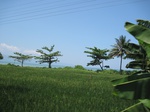 13994IMG_4309.JPG