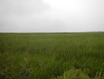 54448DSCN1729.JPG