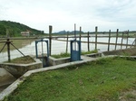 55060Berau (378).JPG