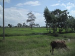33344IMG_5683.JPG