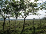 31969IMG_5617.JPG