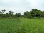 18631P1000469.JPG