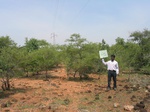 9319gt038b-shrublands-dense.gif