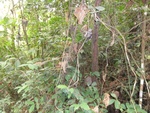 46699DSC02033.JPG