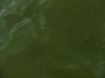58177CIMG2624.JPG