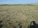 39173BREC20110829W.JPG