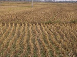 3176R0017210.JPG