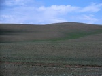 36392CIMG0161.JPG