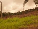 54879Berau (165).JPG