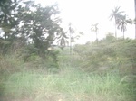 4091RIMG0396.JPG