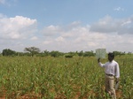 7914gt112a_cropland_bajra_jowar.jpg