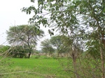 17469100_2158.JPG
