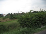 14367IMG_4709.JPG