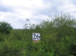 1178126-shrubland-degradedb.jpg