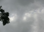46301CIMG0590.JPG