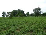 18709P1000547.JPG