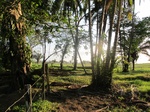 31929IMG_5718.JPG