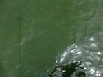 58404CIMG2853.JPG