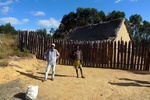 28712P1010730-1.JPG