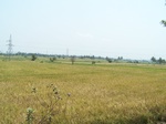 1783126042008(11).JPG