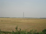 21880DSC08474.JPG