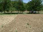 19235P1010081.JPG