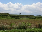 30244CIMG1778.JPG