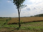 31218CIMG1080.JPG
