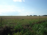 32551p202.jpg