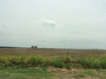 35428DSC02940.JPG