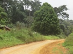 48385CIMG4722.JPG